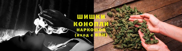 PSILOCYBIN Беломорск