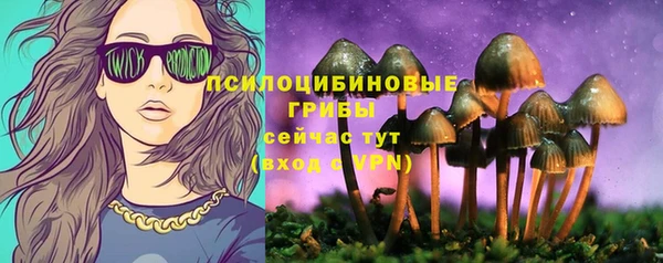 прущая мука Белокуриха