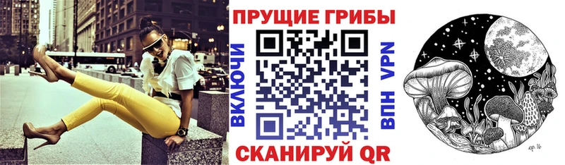 Галлюциногенные грибы Cubensis shop наркотические препараты Валуйки купить наркоту